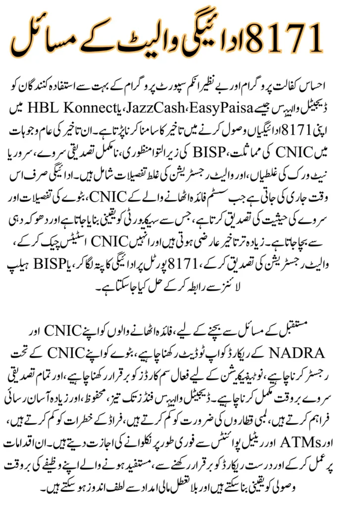 8171 Payment Wallet Not Working? Try This Updated Quick Fix for 2025
